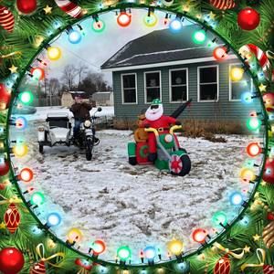 Meet your Posher, Bea